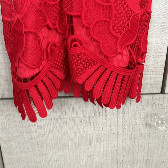 Lovers + Friends Red Lace Crochet Dress Influencer Favorite Sz XS - Picture 5 of 6